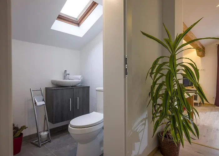 アパート Herbert By Nv-appartements キルヒベルク・イン・チロル